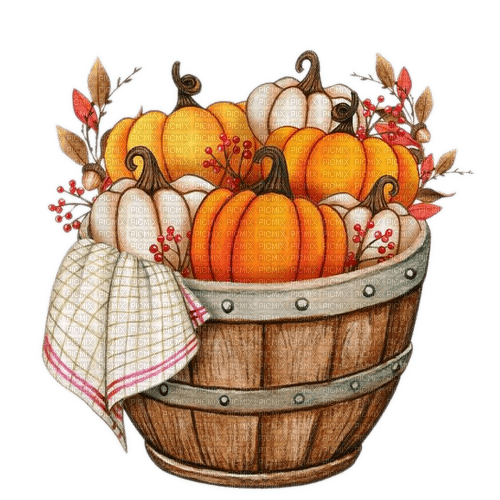 Herbst, Bottich, Kürbisse, Fall, Harvest - ingyenes png