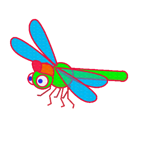 dragonfly - 免费动画 GIF