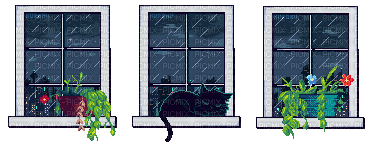 window rain cat - GIF animé gratuit