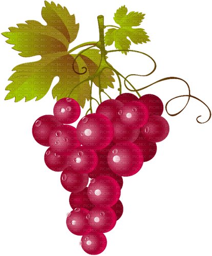 grapes   Bb2 - Free PNG