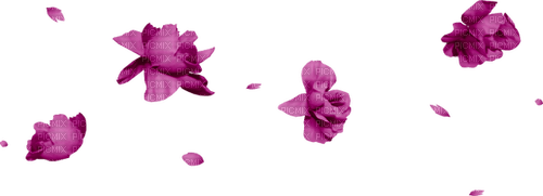 kikkapink deco scrap purple flowers fly - zdarma png