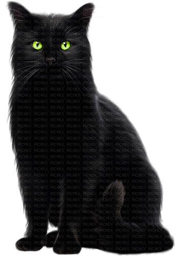 Cat.Black - Free PNG