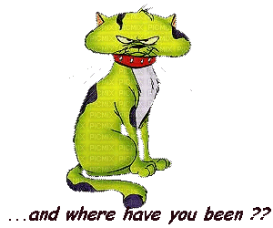and where have you been - Darmowy animowany GIF