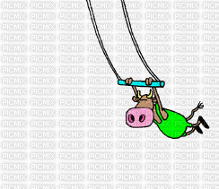 swing cow - Gratis animeret GIF