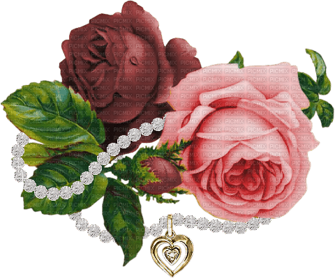 kikkapink deco roses - бесплатно png