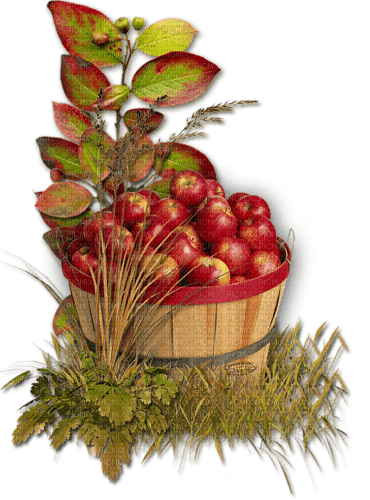Barril de manzanas - nemokama png