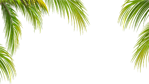 tropical milla1959 - 免费动画 GIF