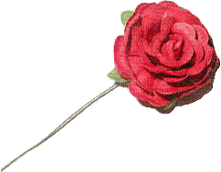 rose rouge - Zdarma animovaný GIF