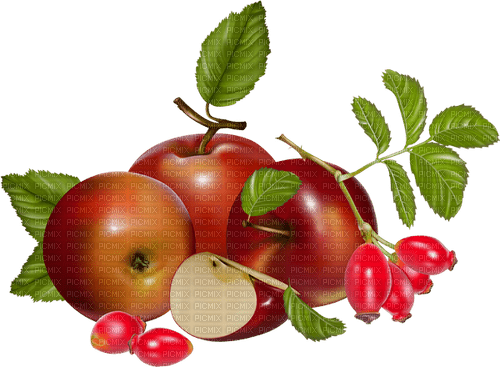 apples by nataliplus - besplatni png