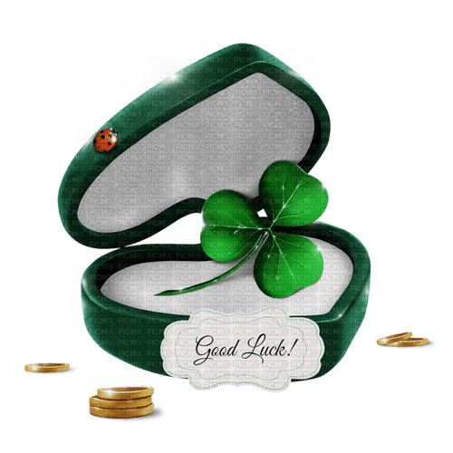 Case With Clover And Coins - kostenlos png