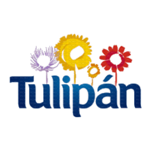Tulip Flower Text - Bogusia - 免费PNG