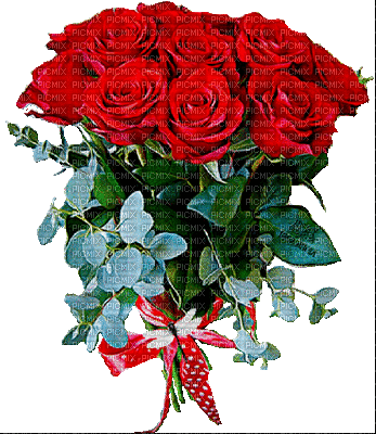 Róża czerwona bukiet2 - GIF animé gratuit