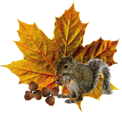 autumn - Безплатен анимиран GIF