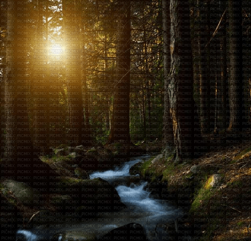 Rena Forest - δωρεάν png