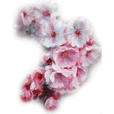 flores  dubravka4 - darmowe png