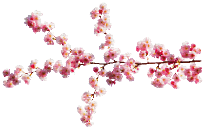 soave deco animated spring tree flowers branch - 免费动画 GIF