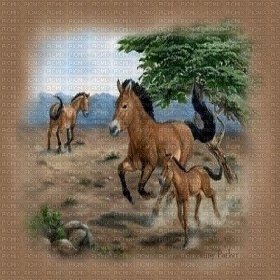 kikkapink background spring summer brown horse - δωρεάν png