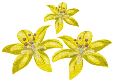 yellow flower - 免费PNG