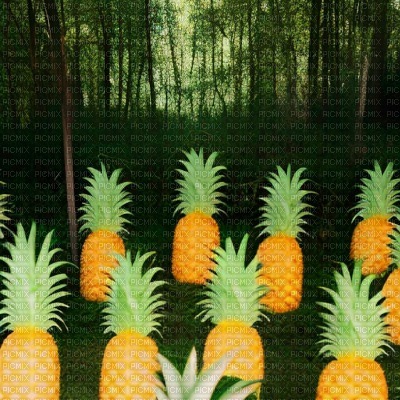 Pineapple Forest - бесплатно png