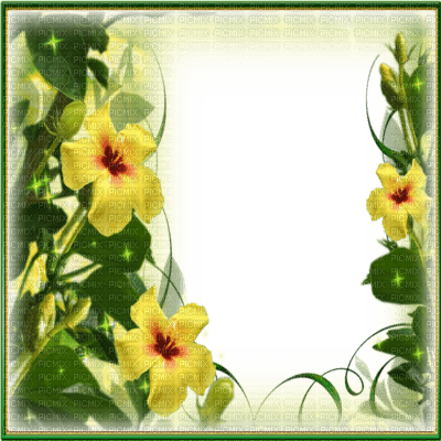 frame cadre flowers - zadarmo png