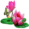 lotos - GIF animado grátis