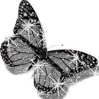 flashing butterfly - GIF animado gratis