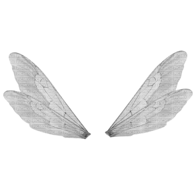 Fairy Wings - ücretsiz png
