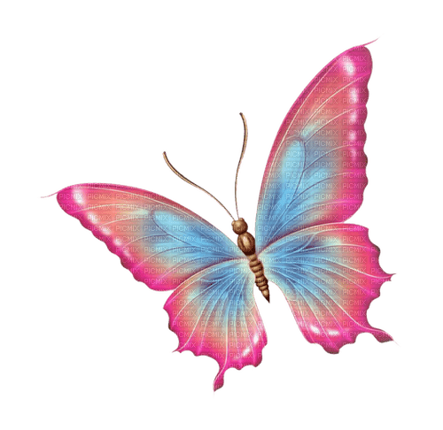 butterfly - ücretsiz png