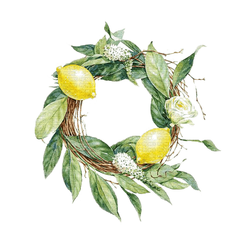 lemon wreath Bb2 - PNG gratuit
