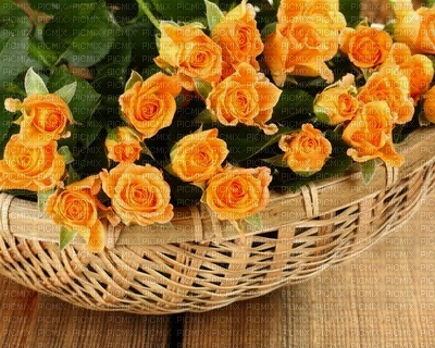 Flower Basket - bezmaksas png