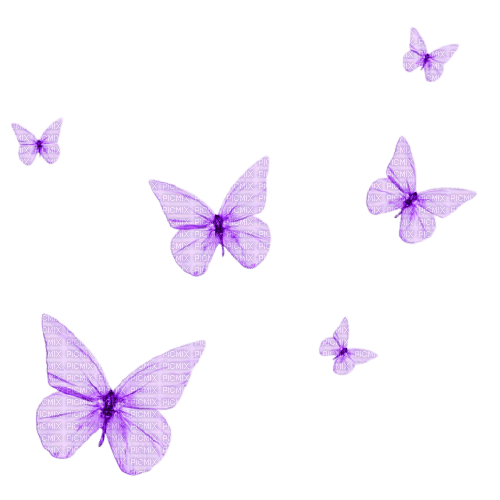 purple butterfly 6 - png ฟรี
