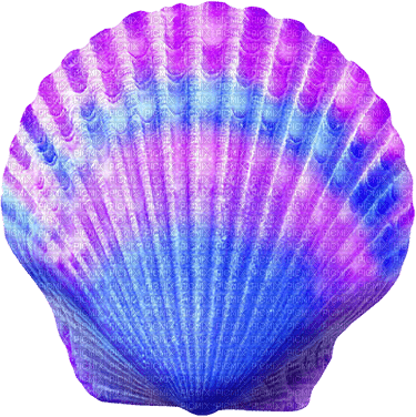 Seashell.Blue.Purple - PNG gratuit
