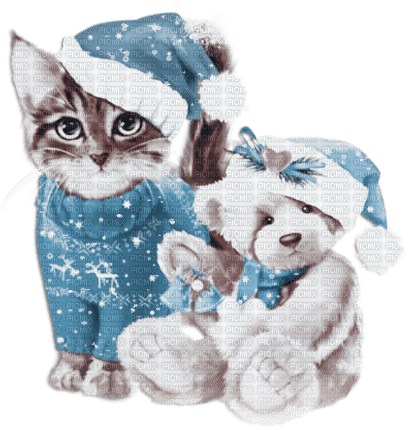 soave deco christmas winter animals cat - Free PNG