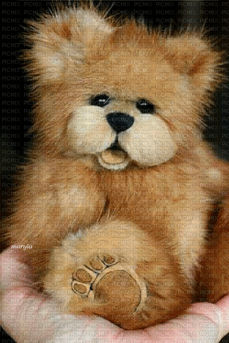 Rena Teddybär Teddy - Gratis geanimeerde GIF
