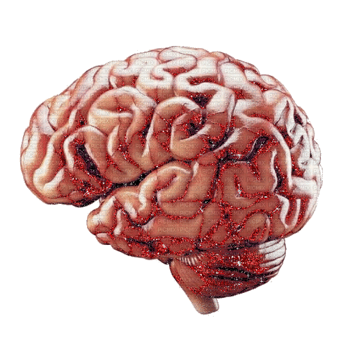 wrinkly brain - Бесплатный анимированный гифка