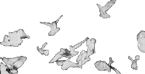 Птицы - Gratis animeret GIF