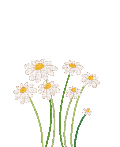 Flower Power Summer - Бесплатный анимированный гифка