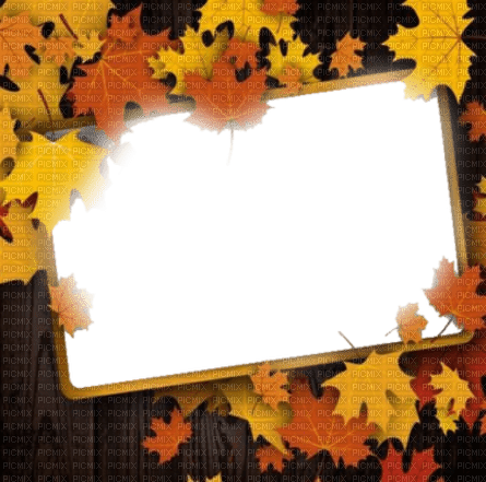 loly33  frame feuilles automne - png gratuito