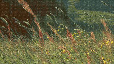 podloga pejzaž - Ingyenes animált GIF