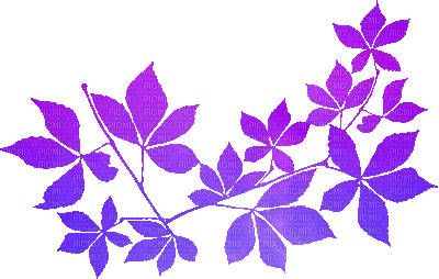 soave deco animated autumn branch liaves purple - Δωρεάν κινούμενο GIF