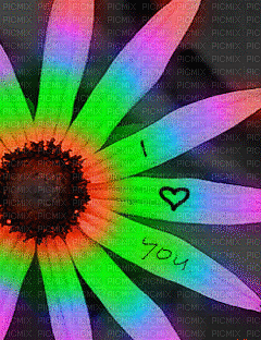 image encre animé effet je t'aime fleur ivk rose ink edited by me - GIF animé gratuit