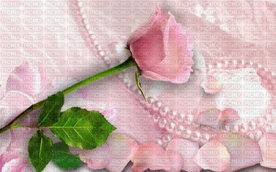 chantalmi fond rose perle - PNG gratuit