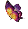 butterfly - Бесплатный анимированный гифка