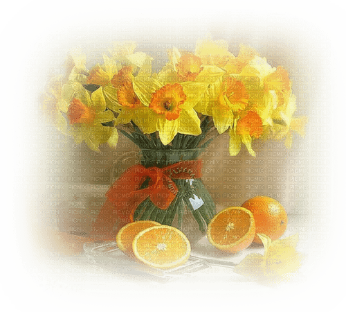 Narcis and oranges - PNG gratuit