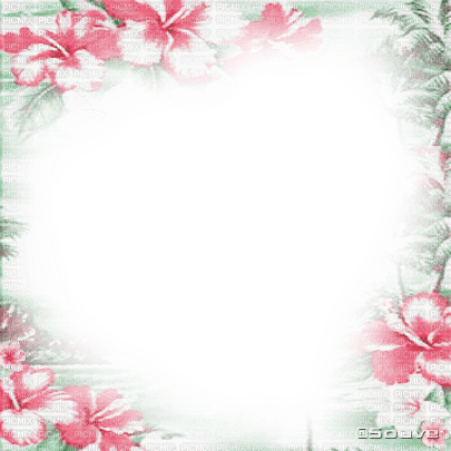 soave frame summer flowers tropical pink green - zdarma png
