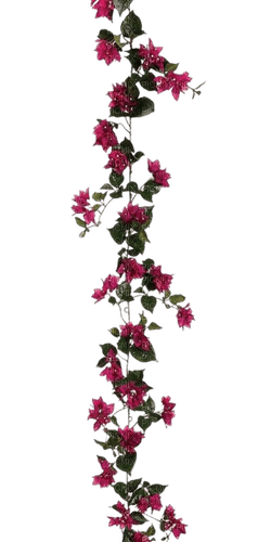 kwiaty - zdarma png