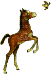 aze cheval - Bezmaksas animēts GIF