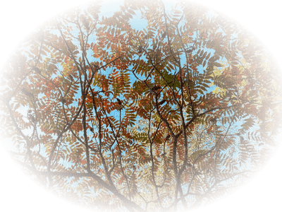 Kaz_Creations Paysage Scenery Autumn - PNG gratuit