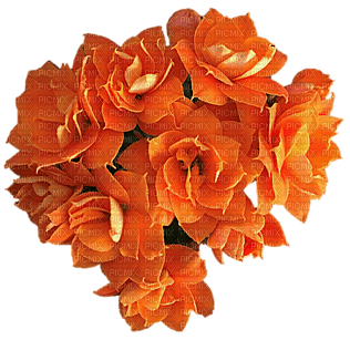 Orange.Fleurs.Flower.Bouquet.Victoriabea - nemokama png