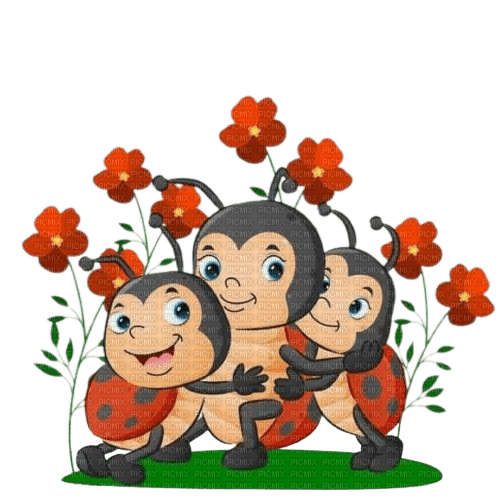 coccinelle - δωρεάν png